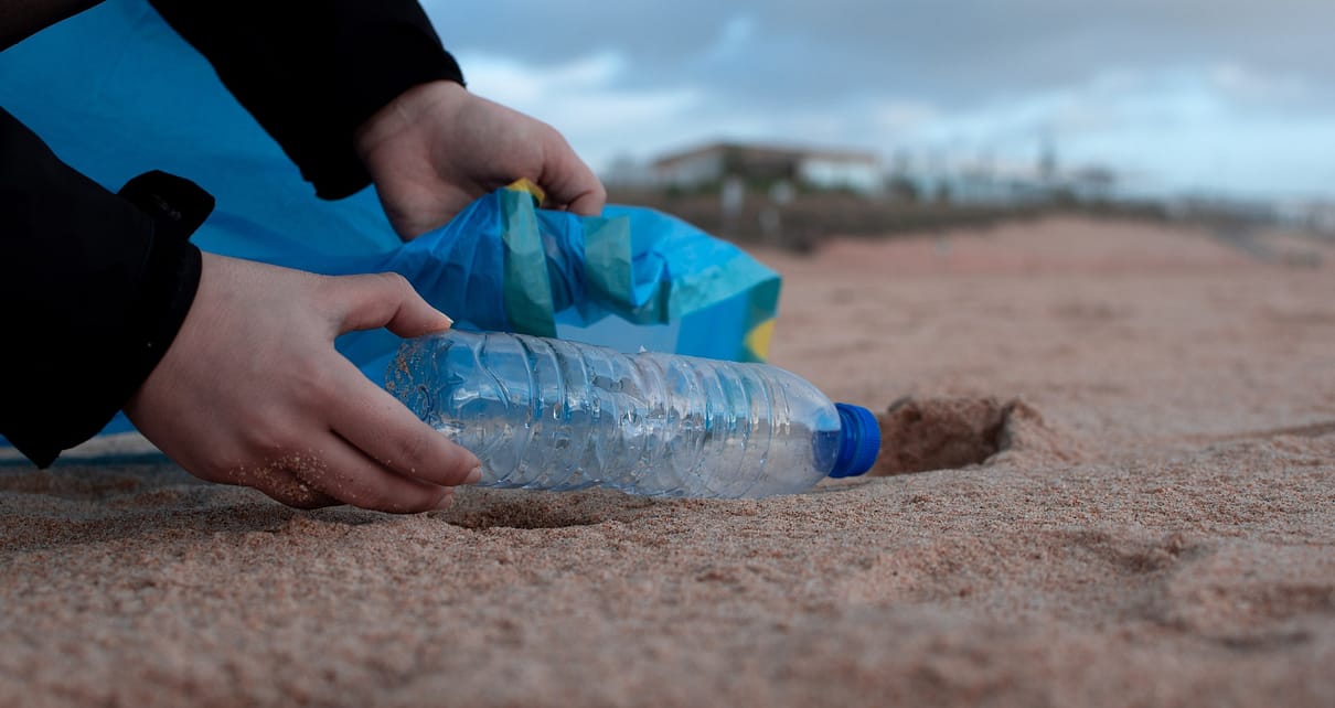 Bottle